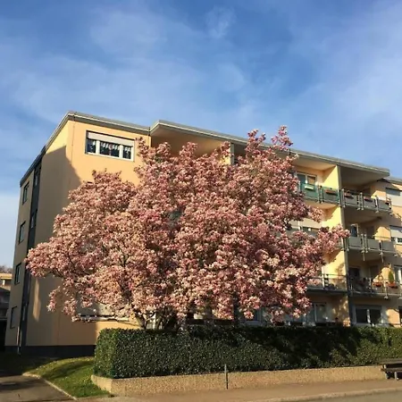 Stadtferienwohnung By Interhome *